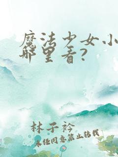 魔法少女小圆在哪里看?