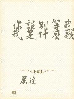 你说别等我别等我是什么歌