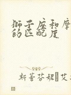 狮子座和摩羯座的匹配度