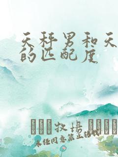 天秤男和天蝎女的匹配度