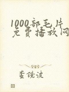 1000部毛片免费播放网站