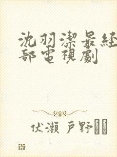 沈羽洁最经典十部电视剧