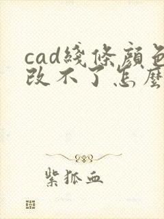 cad线条颜色改不了怎么回事