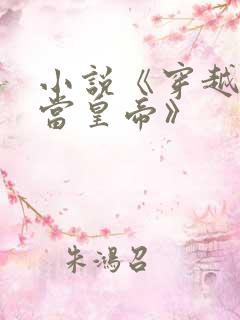 小说《穿越明朝当皇帝》