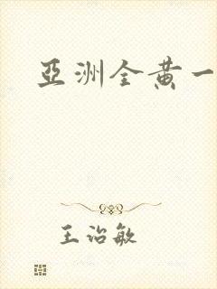 亚洲全黄一级片