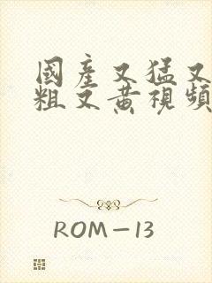 国产又猛又爽又粗又黄视频