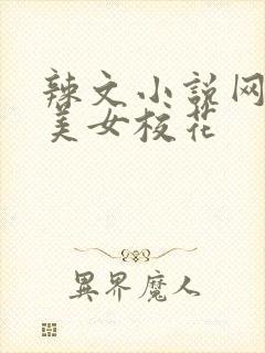 辣文小说网我和美女校花