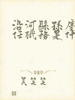 沿河县孙庆瑜现任职务是什么