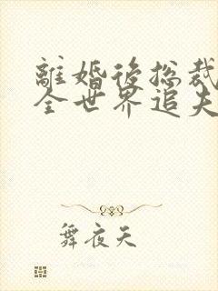 离婚后总裁老婆全世界追夫