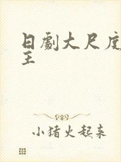 日剧大尺度双男主