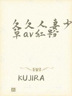 久久人妻少妇嫩草av红粉