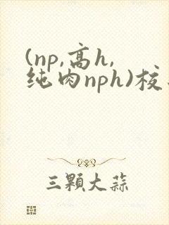 (np,高h,纯肉nph)校园