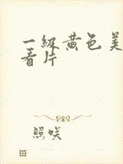 一级黄色美女试看片