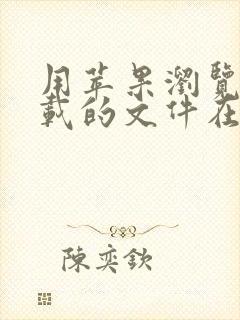 用苹果浏览器下载的文件在哪打开