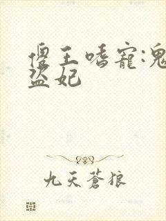 傻王嗜宠:鬼医盗妃