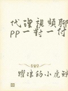 代理视频聊天app一对一付费