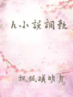 h小说调教多人