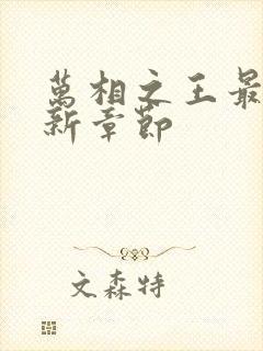 万相之王最新更新章节