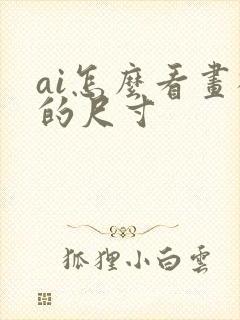 ai怎么看画板的尺寸