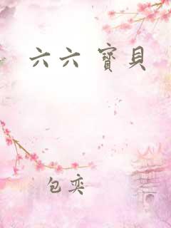 六六 宝贝