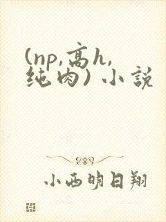 (np,高h,纯肉) 小说