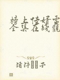 榜上佳婿电视剧全集在线观看免费播放