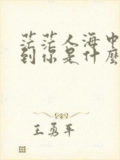 茫茫人海中我遇到你是什么歌名