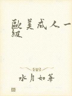 欧美成人一级二级