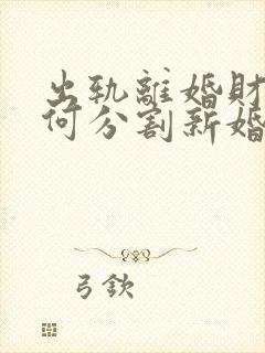 出轨离婚财产如何分割新婚姻法