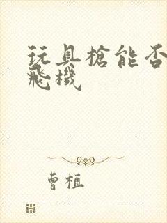 玩具枪能否带上飞机