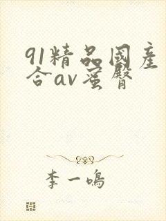 91精品国产综合av蜜臀