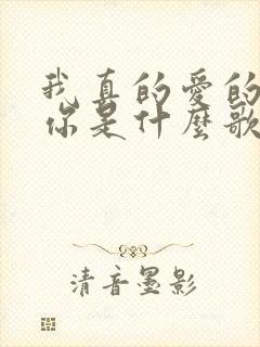 我真的爱的就是你是什么歌