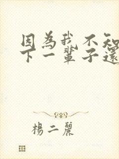 因为我不知道,下一辈子还是否能遇见你歌词