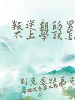 叛逆期的男孩子不上学该怎样去沟通教育