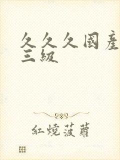 久久久国产精品三级