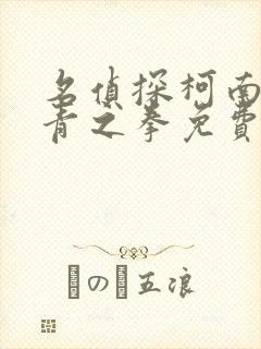 名侦探柯南之绀青之拳免费国语版