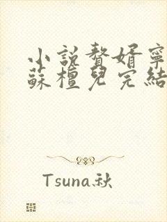 小说赘婿宁毅/苏檀儿完结版