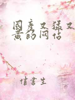 国产又猛又爽又黄的网站