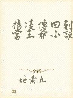 杨凌传回到明朝当王爷小说