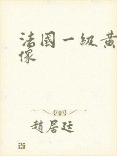 法国一级黄色录像