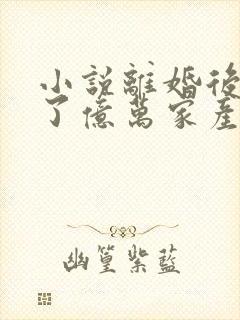 小说离婚后继承了亿万家产完整版