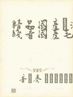 精品国产髙清在线看国产毛片