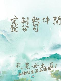 定制软件开发开发公司