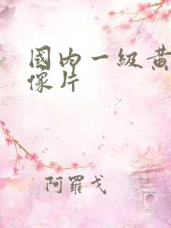 国内一级黄色录像片