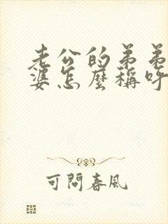 老公的弟弟的老婆怎么称呼