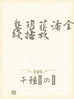 龚玥菲潘金莲在线播放