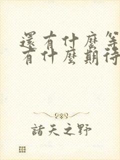 还有什么等待还有什么期待是什么歌