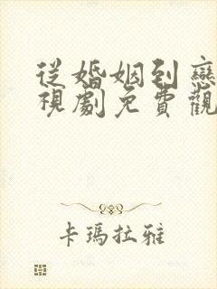 从婚姻到恋爱电视剧免费观看