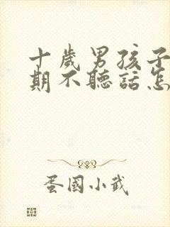 十岁男孩子叛逆期不听话怎么办