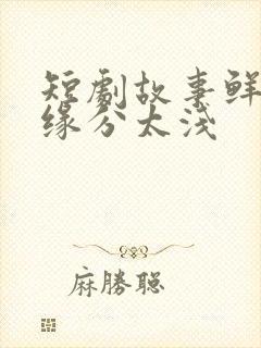 短剧故事鲜艳而缘分太浅